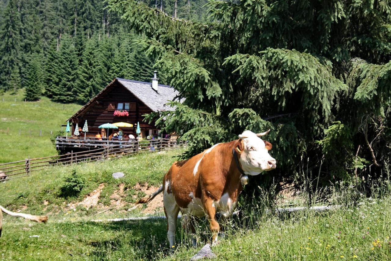 Chalet 164 Bad Goisern Buitenkant foto