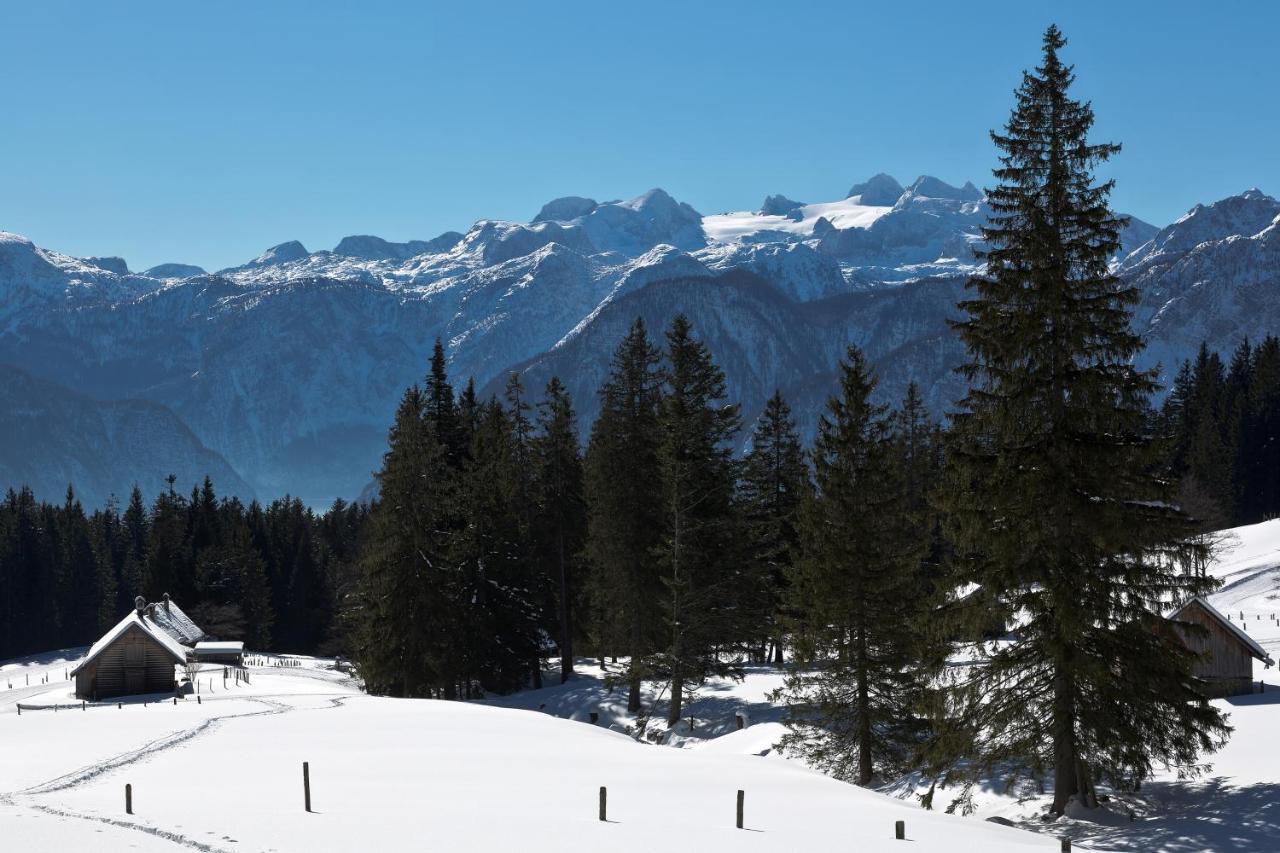 Chalet 164 Bad Goisern Buitenkant foto